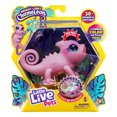 thumbnail image 1 of Little Live Pets Lil' Chameleon Single Pk Nova, 1 of 5