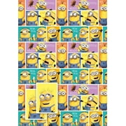 Danilo Despicable Me PresNok Wrapping Paper, Despicable Me Gift Wrap 2 Sheets Of Gift Wrap And 2 Gift Tags