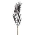 thumbnail image 1 of Bouclair Black Artificial Stem, 1 of 2