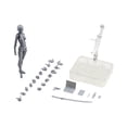 thumbnail image 2 of ziyahi 15cm Figures Body Set with Figure Figure Figures Body Set Display Set with Box Stand Holder Set with for Bedroom Decor Female Gray, 2 of 9