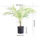thumbnail image 3 of Wosthever Plástico diseñado para cualquier habitación Palmera artificial Areca en maceta Palmera falsa de mantenimiento de bajo costo Decoración, 3 of 6