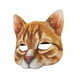thumbnail image 1 of Máscara de cosplay de Halloween Máscara de cara de gato Tocado de animal Máscara de cabeza de animal Accesorios para fotos Accesorio de disfraz de, 1 of 9