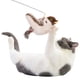 thumbnail image 1 of Pájaro Chirping Gato Juguete Simulado Chirriendo Volador Recargable para Gats Interior Gatito, 1 of 9