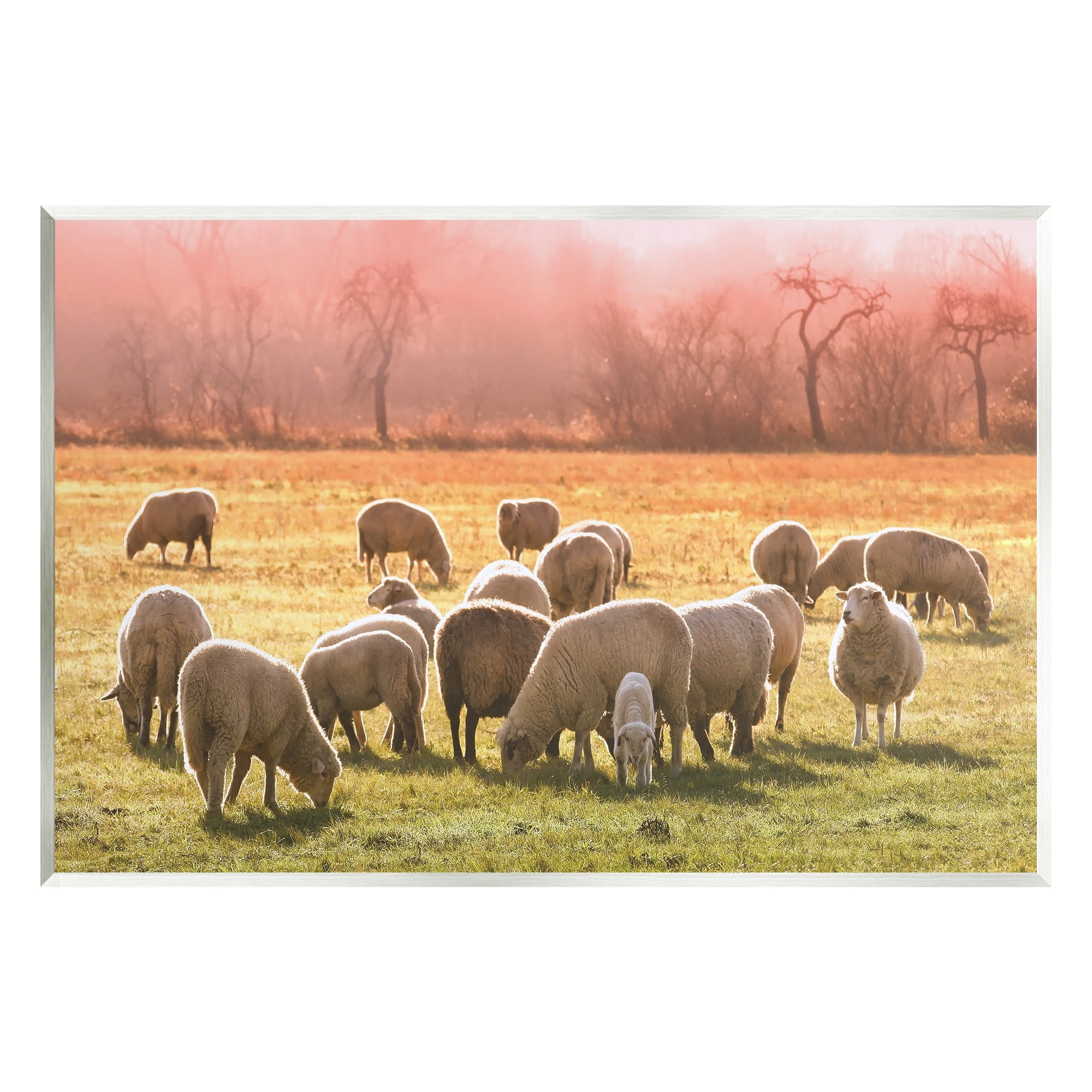 Stupell Industries Sheep Herd Grazing Warm Pink Sunset Rural Grassland Photograph Unframed Art Print Wall Art, Design by Daphne Polselli