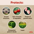thumbnail image 6 of Sevin Insect Killer Outdoor Lawn Granules; 20lb Bag Treats up to 20,000 Square feet of Lawn, 6 of 20