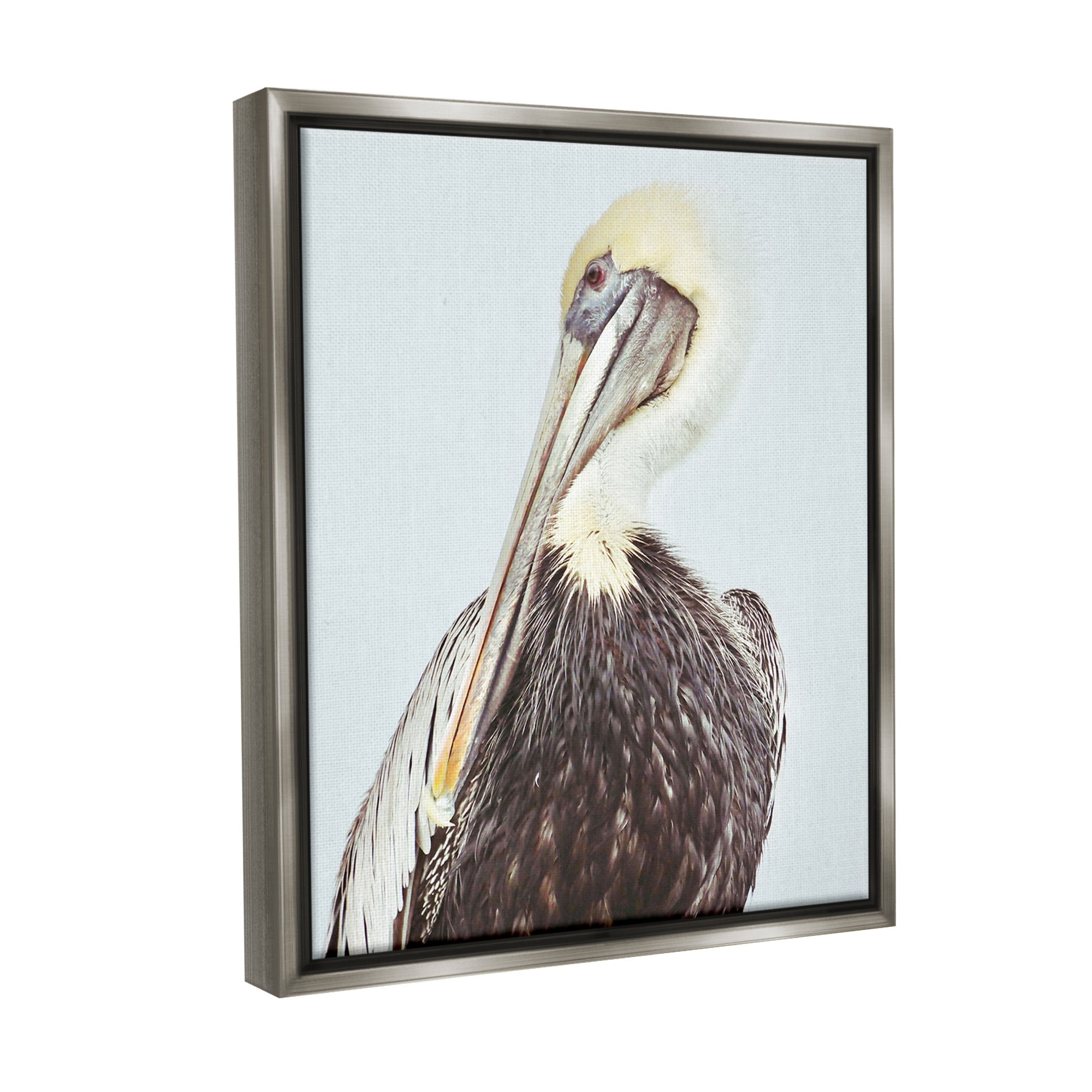 Stupell Industries Preening Pelican Photography Animals & Insects Painting Gray Floater Framed Canvas Art Print Wall Art, 17 x 21