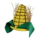Beistle 60674 Chapeau d'Épi de Maïs en Peluche, Multicolore, Adulte – image 1 sur 5