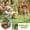 Red RD, variant on WWG Creative Sensation Coneflower Bird Feeder Outdoor Garden Yard Decoration Sales