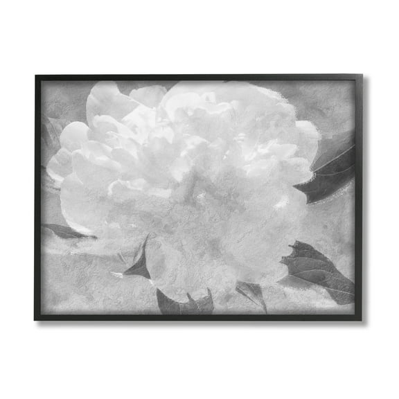 White Flower Blossom Monochrome Botanical & Floral Graphic Art Black Framed Art Print Wall Art