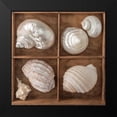 thumbnail image 2 of Frank, Assaf 15x15 Black Modern Framed Museum Art Print Titled - Seashells Treasures II, 2 of 5