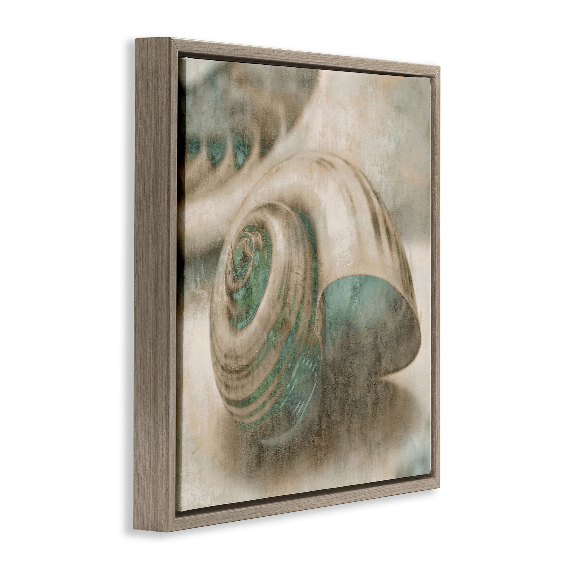 Stupell Industries Centered Sharkeye Seashell Nature Photography Brown Floater Framed Canvas Art Print Wall Art, 18 x 18