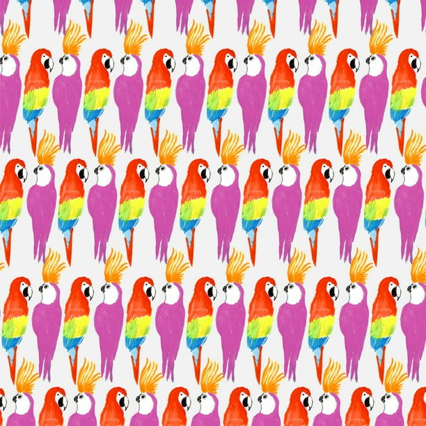 Parrots vs Parakeets Bird Pattern Premium Roll Gift Wrap Wrapping Paper
