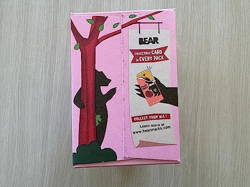 Bear Fruit Rolls Strawberry & Raspberry Variety Pack 48 rolls