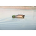 thumbnail image 4 of Avian X Power Shaker Mallard Drake Feeder Motion Duck Decoy, 4 of 4