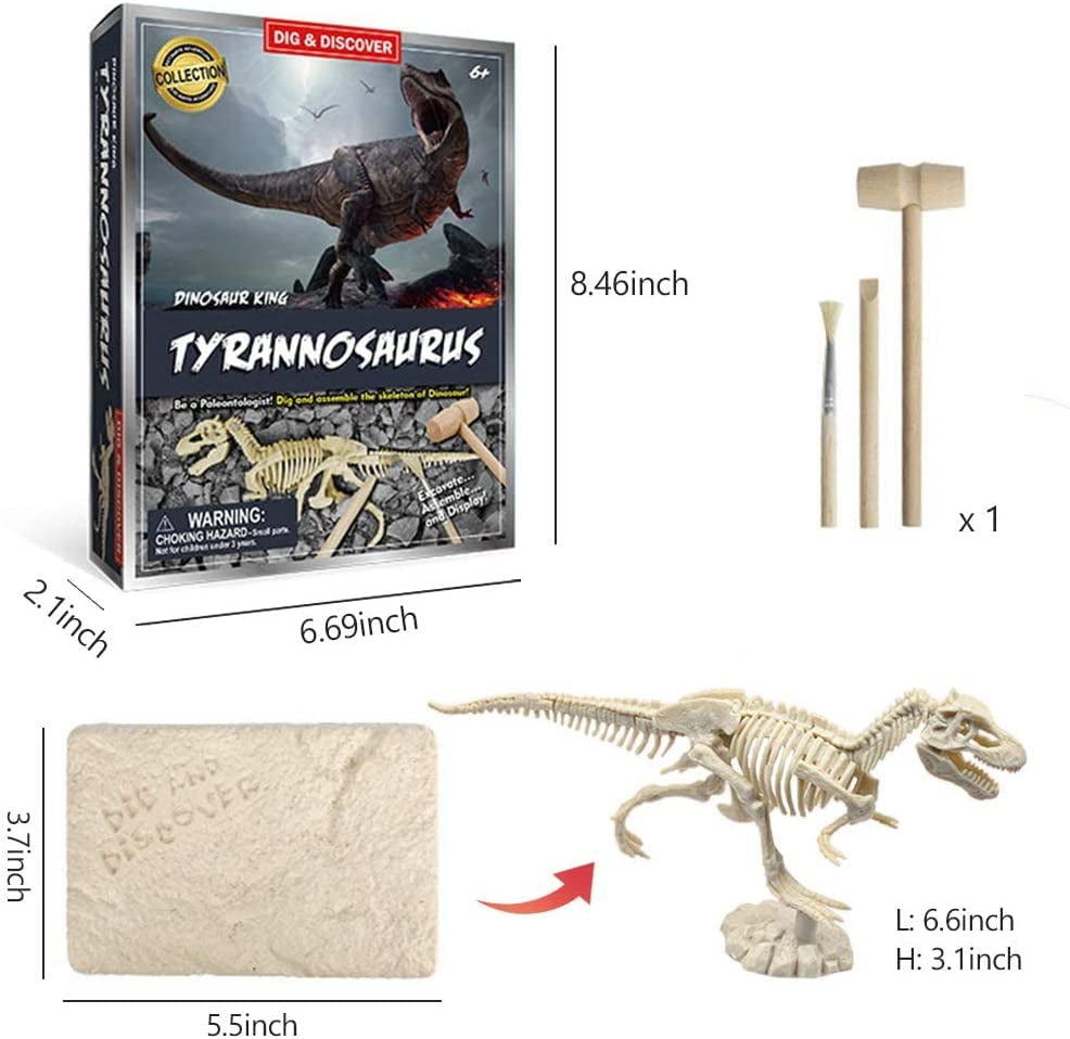 Buy YOYTOO Dinosaur Dig Kit, TRex Skeleton Dig Excavation Kit