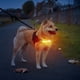thumbnail image 5 of Pet Foot Cleaning foam Mild ingredients soothe and care daily cleaning pet skin, 5 of 5