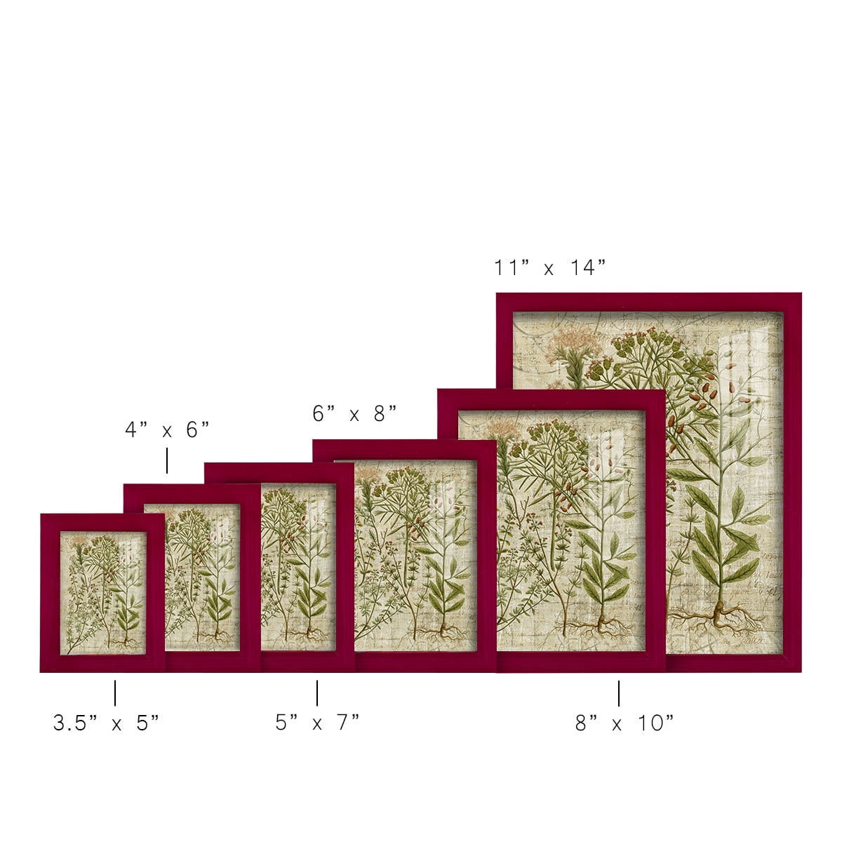 Garden Verses I -Framed Print w/glass-Cherry Red