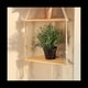 thumbnail image 3 of Estantes con Estante de Madera 1 Estante Hecho a Mano para Plantas Colgantes y DecoracióN con Cuerda de Macramé y Estante, 3 of 7