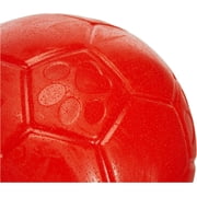 Jolly Pets Floatable Soccer Ball Dog Toy, Orange, Round, 6