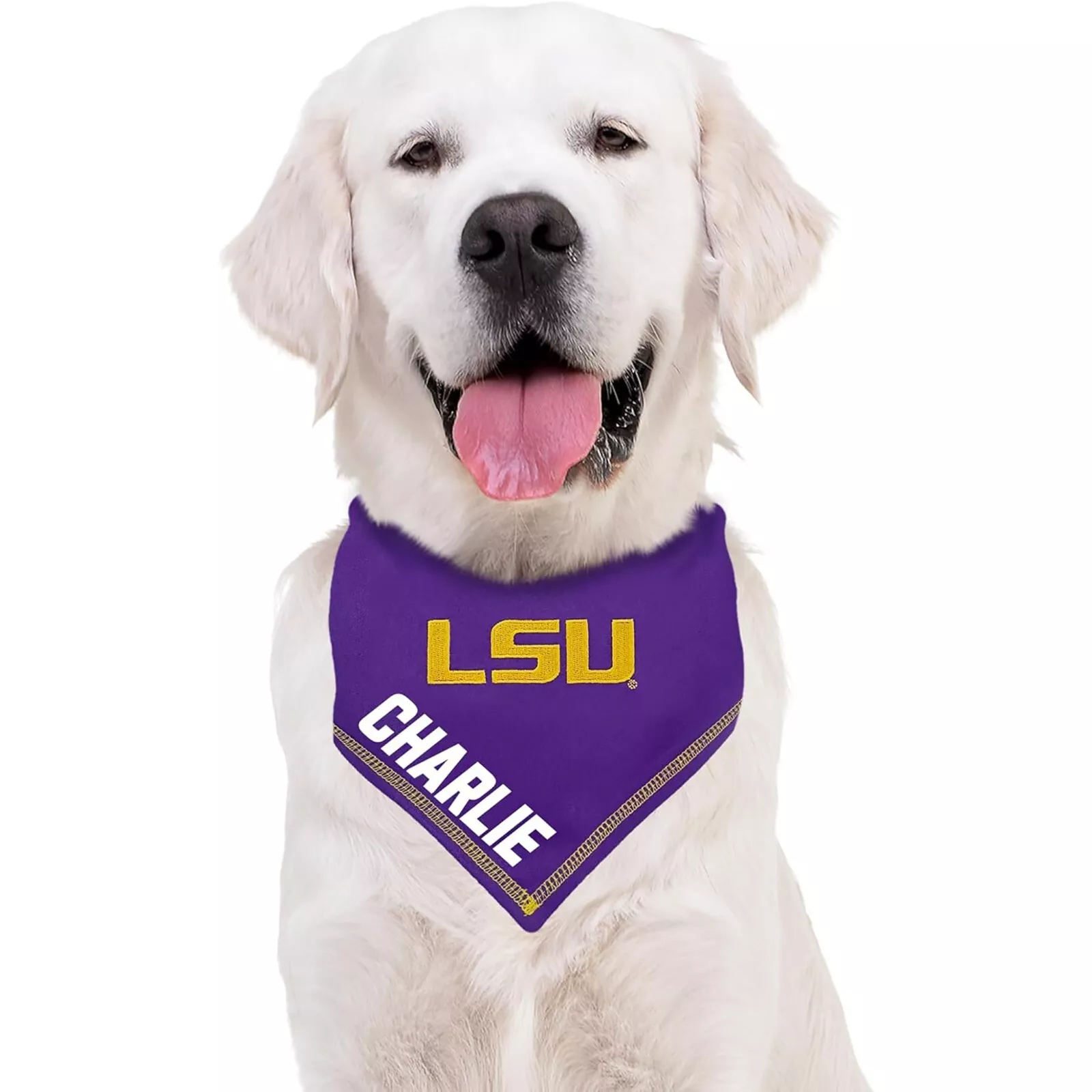 Pets First NCAA Personalized Tie Bandana for Dogs & Cats Sporty Dog Bandana