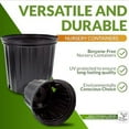 thumbnail image 6 of Elite Two Gallon, Black (Trade) Nursery Container Pot - 60/Bundle, 6 of 7