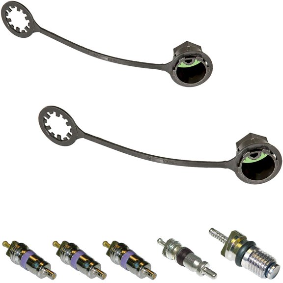 For Audi allroad SQ5 S5 S4 S7 A6 Q5 TT Quattro RS7 AC A/C Cap & Valve Kit - BuyAutoParts