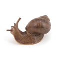 thumbnail image 5 of 2 Piezas Estatua de Caracol de Jardín Estatuilla de Plástico Patio Caracol Artesanía Escultura Animal Decoración para Mini Jardín de Hadas Micro Paisaje Adorno de Tanque de Peces, 5 of 5