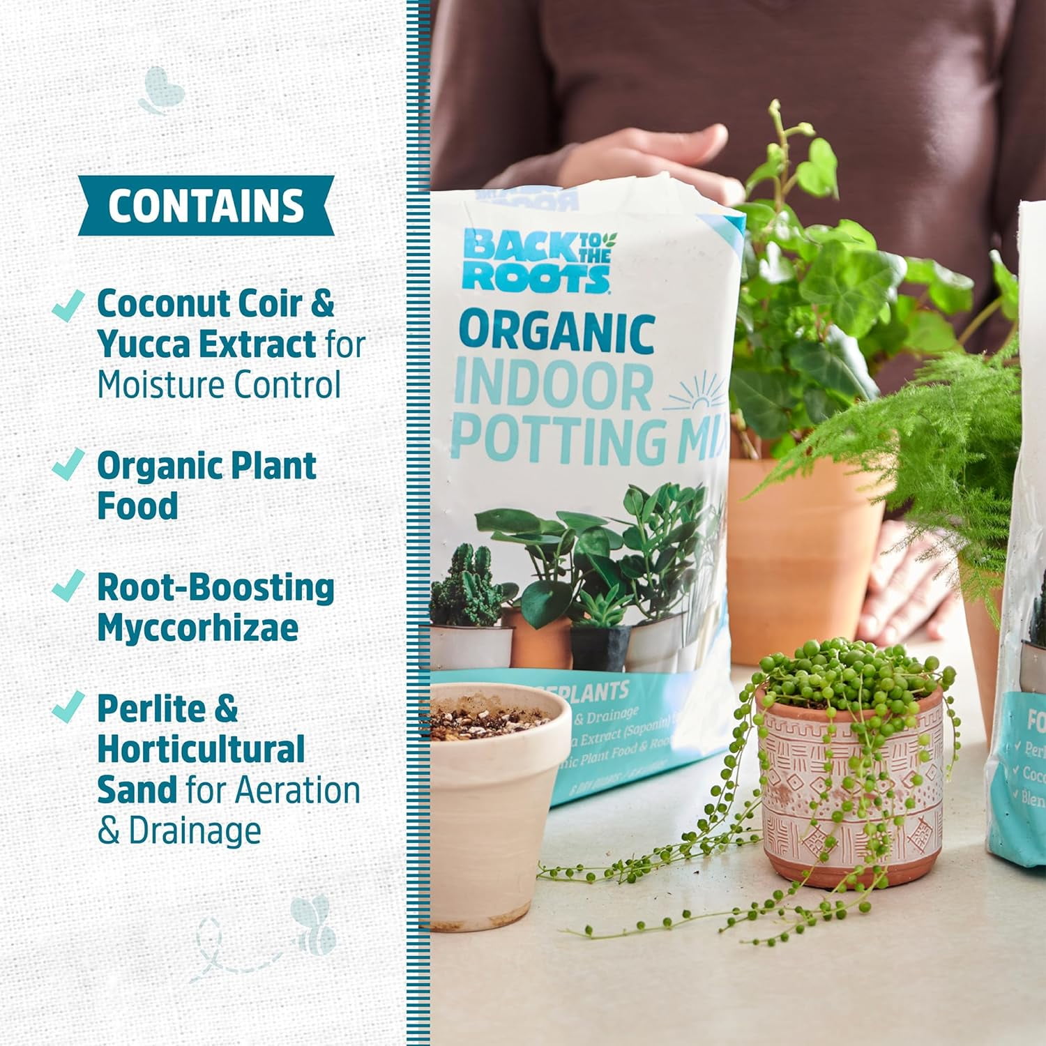 Organic Indoor Potting Mix (2 6qt bags)
