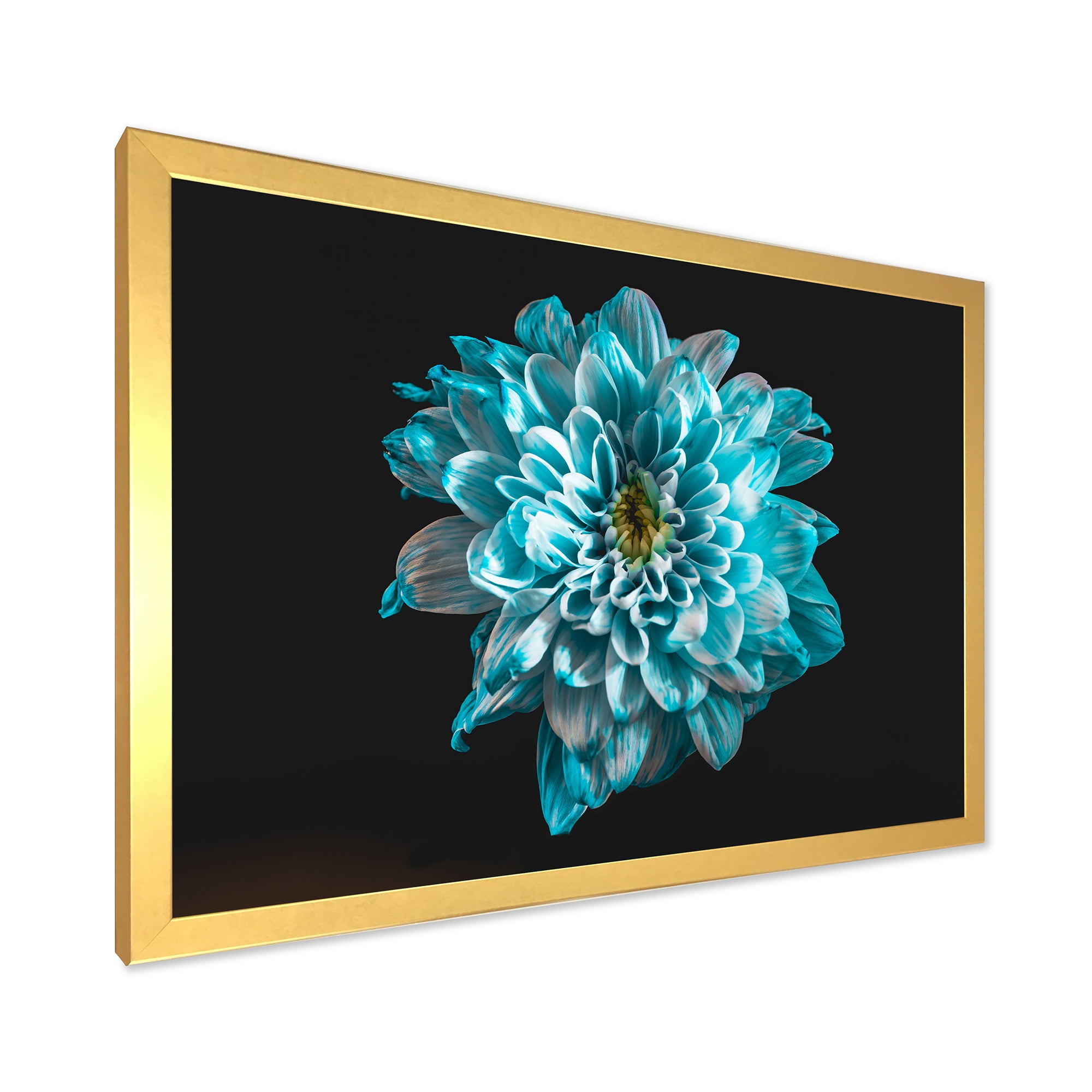 Designart 'Close Up Of Flower With White and Blue Petals' Traditional Framed Art Print