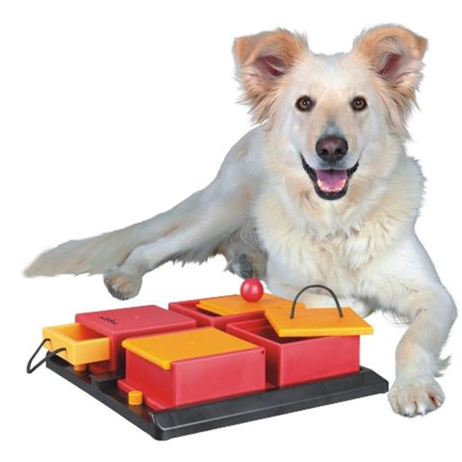 Fly Free Zone Dog Activity Poker Box Level 2 Multicolor