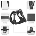 thumbnail image 6 of Lsque In Pizza We Crust Art Dog Harness, No-Pull Pet Harness with 2 Leash Clips, Adjustable Soft Padded Dog Vest with Easy Control Handle for Large Dogs-Medium, 6 of 9