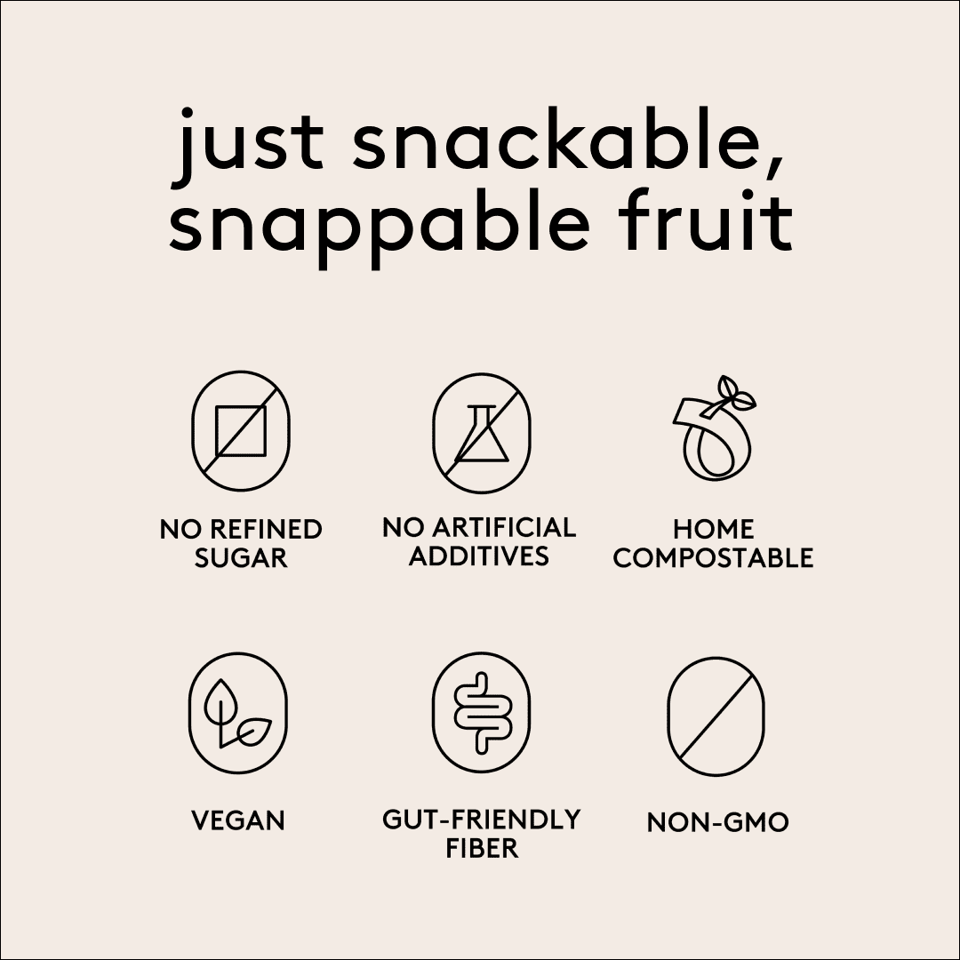 Kencko Mango Organic Fruit Snaps, Freeze Dried Snacks, 5 x 0.35 oz Snack Packs