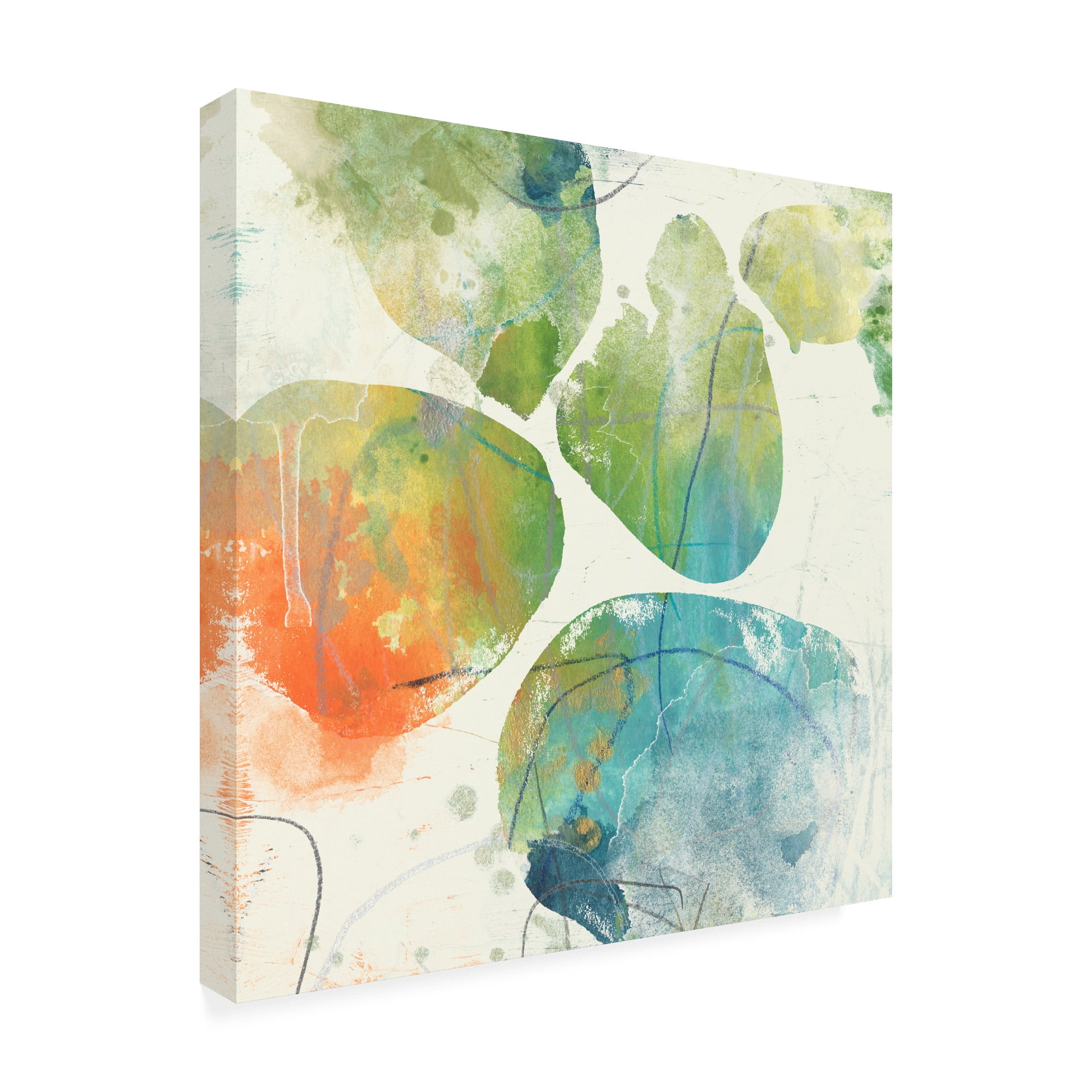 Trademark Fine Art 'Color Motion I' Canvas Art by June Erica Vess