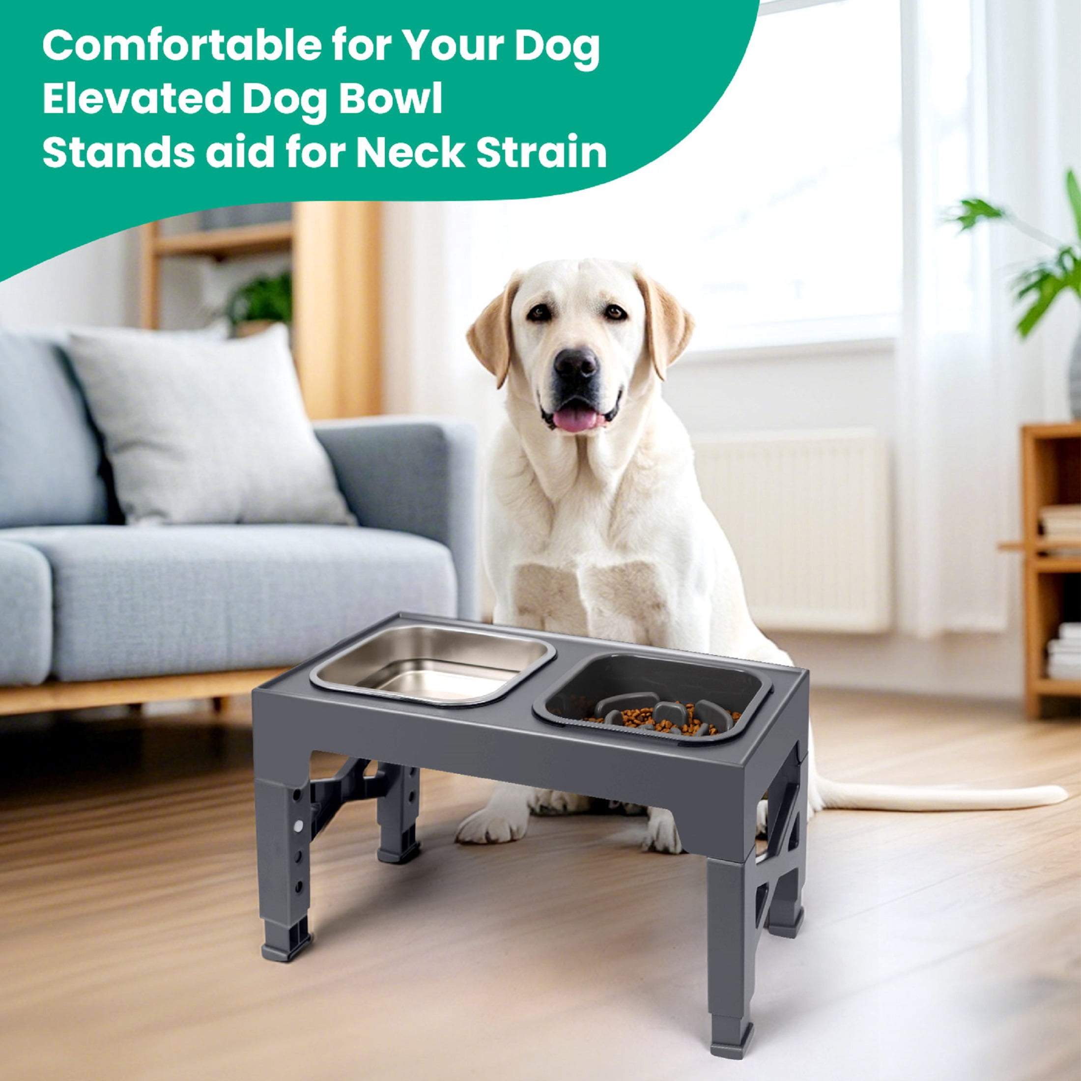 Elevated Dog Bowls with 2 Stainless Steel Dog Bowls, Raised Dog Bowl Adjusts to 5 Heights for Small Medium and Large Dogs,Gray