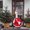 Z-L【Christmas Goose Outfits】, variant on Porch Goose Outfit Set, 23 inch Goose Clothes , Weather Resistant Holiday Decoration for Lawn Garden Yard, Gift