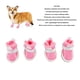 thumbnail image 3 of Zapatos para Perros Botas de Malla Transpirable para Perros con Suela de Goma Suave Antideslizante Botines Ligeros para Perros Protectores de Patas para Cachorros Bichones ANGGREK  Otros, 3 of 8