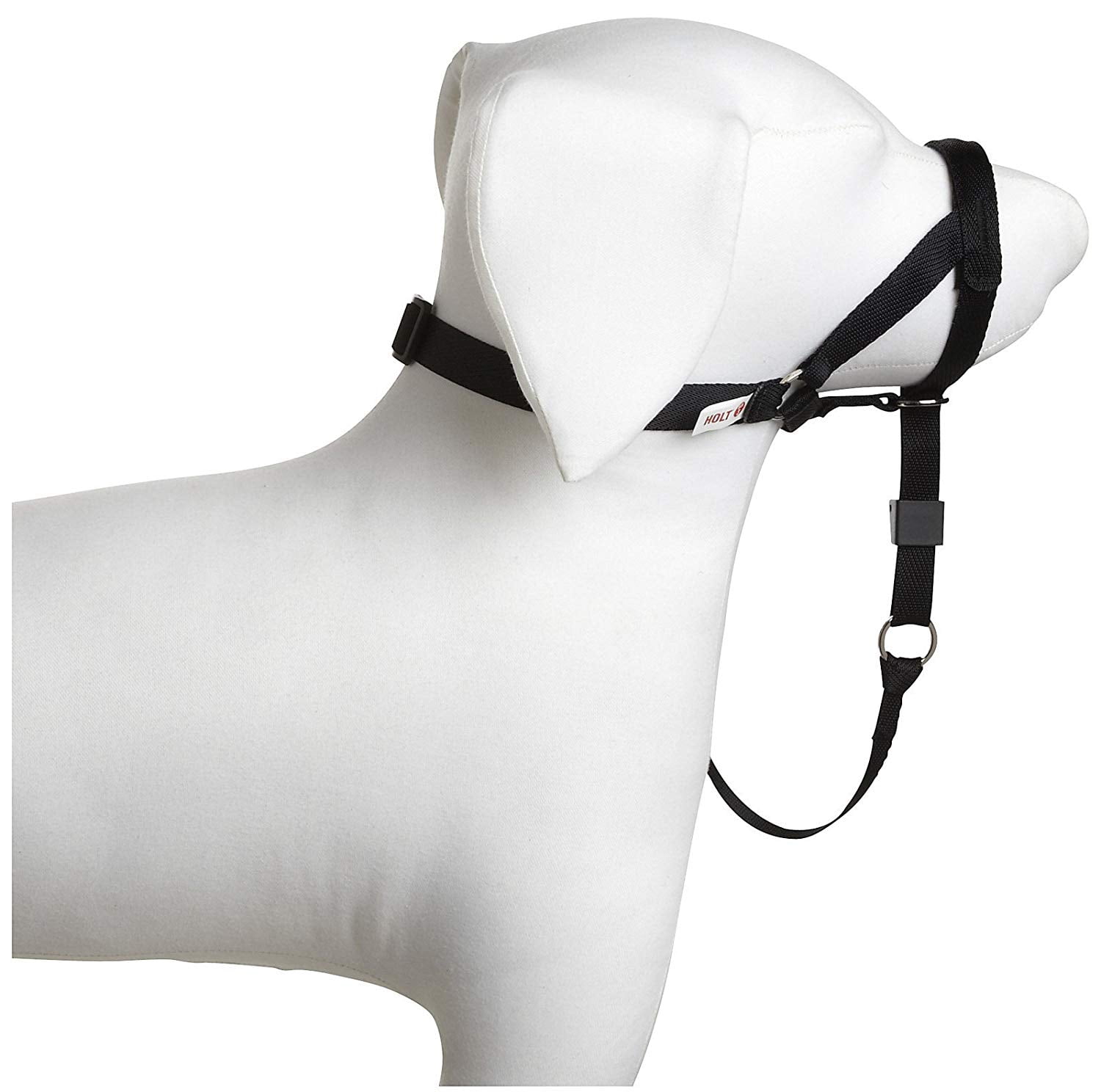 holt dog harness