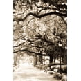 thumbnail image 2 of Alan Hausenflock 13x18 Gallery Wrapped Canvas Wall Art Titled - Savannah Sidewalk I, 2 of 4