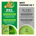 thumbnail image 3 of Juego de batidores de matcha TEANAGOO, batidores de bambú para matcha, 100 puntas, 3 of 7