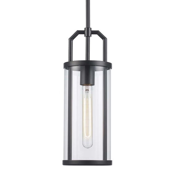 Trans Globe Lighting Pnd-2234 Rogue 6" Wide Mini Pendant - Black