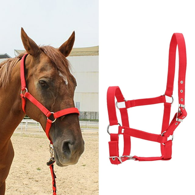 Horse Control Bridle, Replacement PP High Density Horse Halter, Horse Riding Accessory With Buckle For Control Horse Restraint Horse