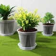 thumbnail image 2 of BERTDOMD 4-Pack Plastic Flower Pots for Garden, Greenhouse , Strawberry Planting Pots, 0.15 Gallon Small Plant Containers, 2 of 6