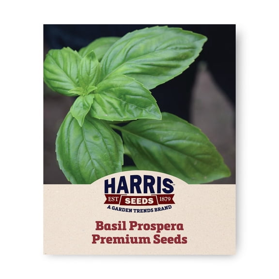 Harris Seeds Prospera Premium F1 Organic Basil, Genovese Herb Variety with Downy Mildew Resistance, Non-GMO, 50 Count