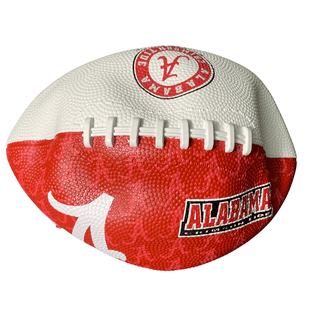 Franklin Sports NFL Miami Dolphins Football - Youth Football