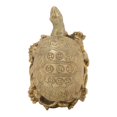 thumbnail image 1 of Brass Tortoise Statue Desk Home Indoor Outdoor Decorative Collectible Gifts Craft, 1 of 5