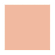 Vallejo Acrylic Model Color Paint - Basic Skin Tone, 18 ml