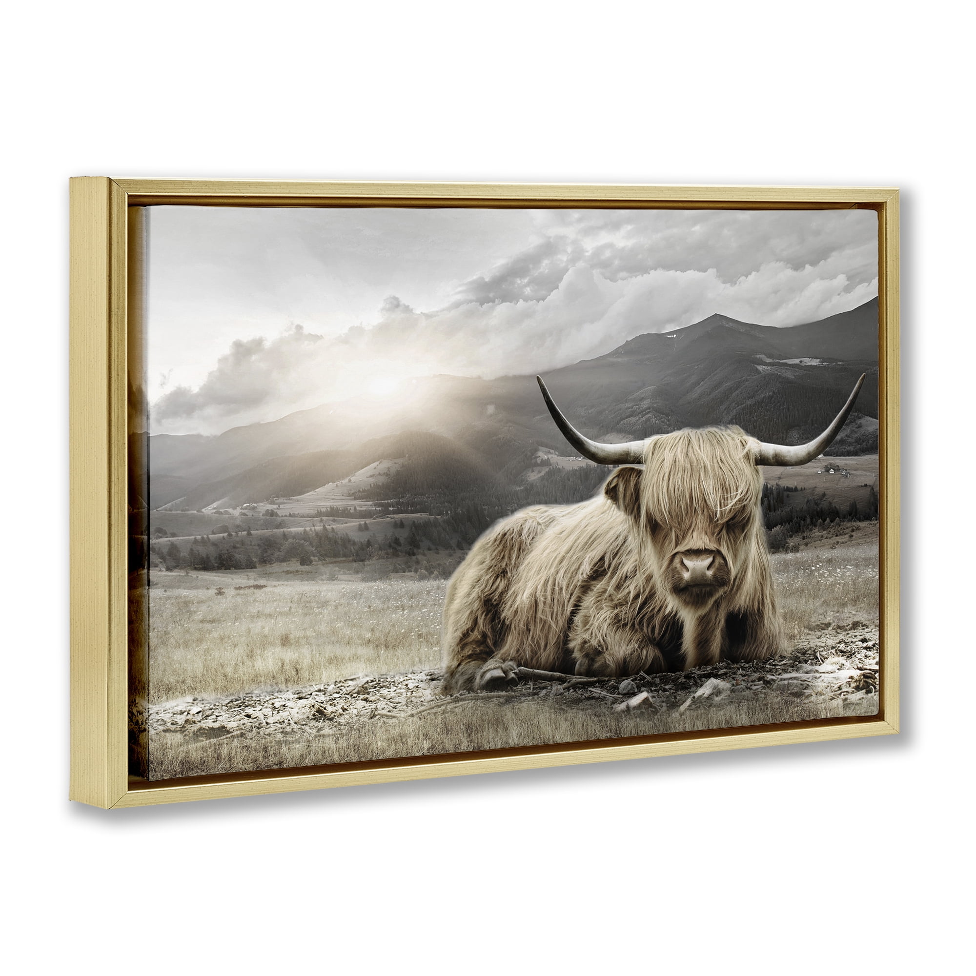 Stupell Industries Cattle Resting in Morning Sun Gold Framed Floater Canvas Wall Art, design by CAD Designs