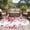Red, variant on Area Rug for Living Room, Sage Green Eucalyptus Leaves Non-Slip Indoor Large Carpet for Bedroom/Dining Room, Spring Summer Botanical Washable Low-Profile Rectangle Floor Runner Rugs - 6 x 9 Ft