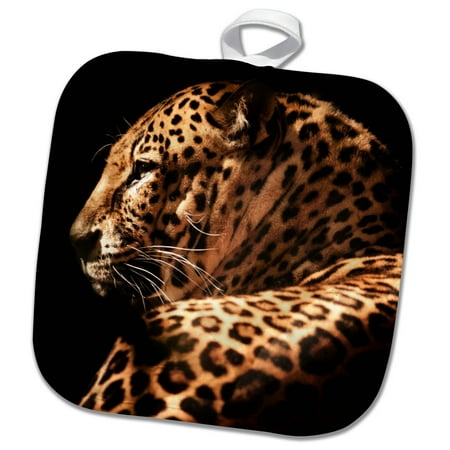

3dRose Portrait Of An Elegant Leopard Wildlife Photography - Pot Holder 8 by 8-inch