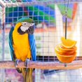 thumbnail image 4 of Parrots Fruit Skewer Stainless Steel Birds Vegetable Fruit Holder, 4 of 6